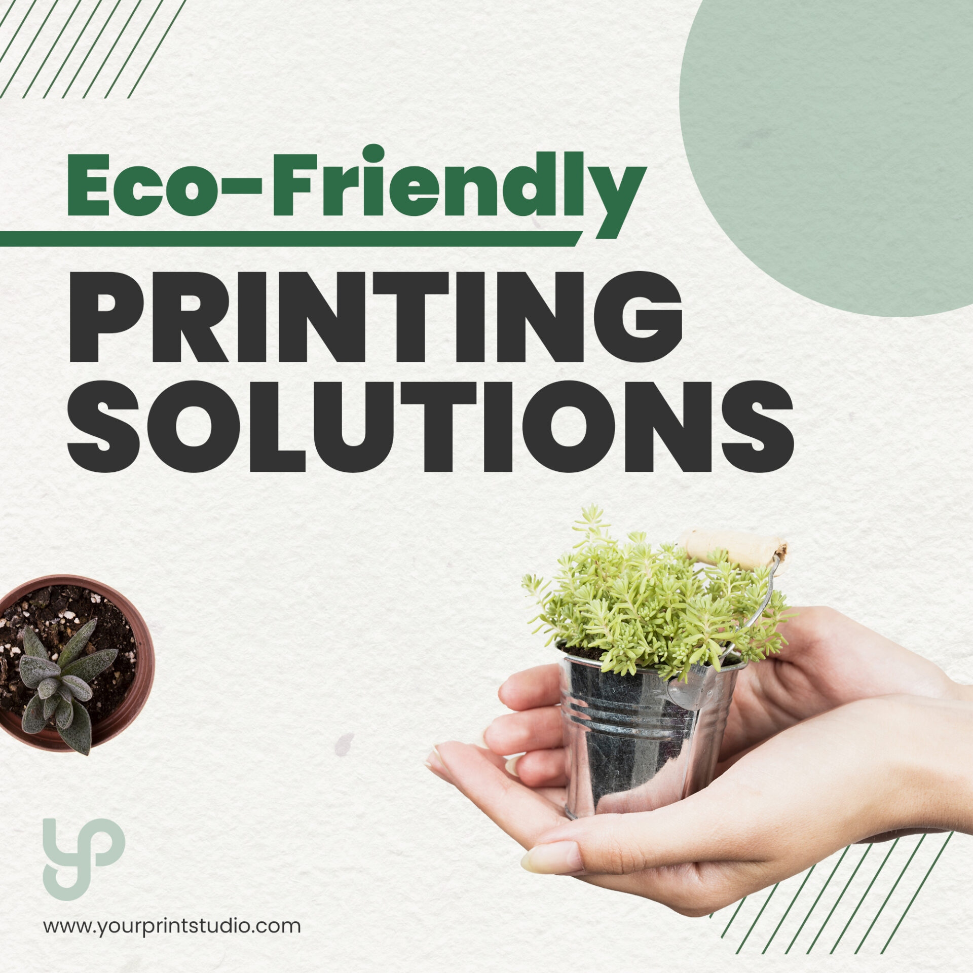 The Green Print: How Eco-Friendly Printing Powers Sustainable Brands